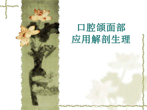 口腔颌面部应用解剖生理1.ppt