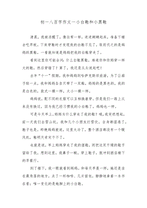 初一八百字作文—小白鞋和小黑鞋.docx