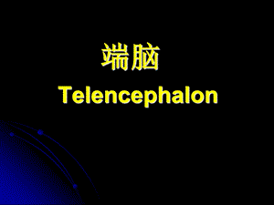 中枢神经系统解剖端脑1.ppt
