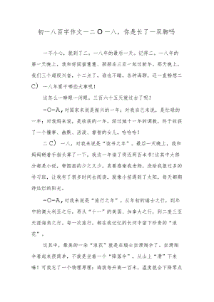 初一八百字作文—二〇一八你是长了一双脚吗.docx