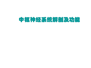 中枢神经系统解剖及功能.ppt