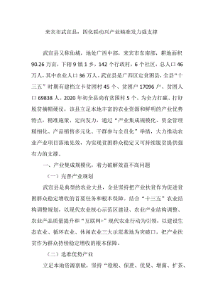 来宾市武宣县：四化联动兴产业精准发力强支撑.docx