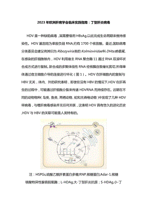 2023年欧洲肝病学会临床实践指南：丁型肝炎病毒.docx