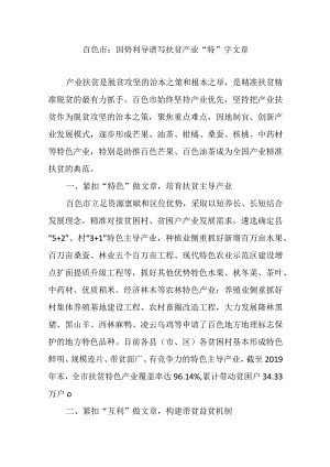 百色市：因势利导谱写扶贫产业“特”字文章.docx
