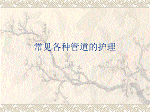 各种管道护理精要.ppt