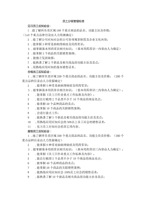 员工分级管理标准.docx