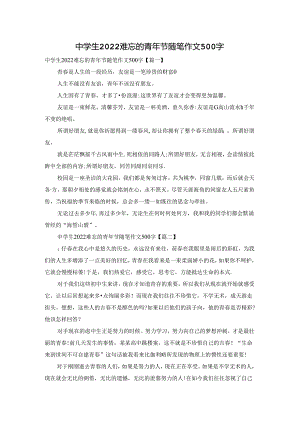 中学生2022难忘的青年节随笔作文500字.docx