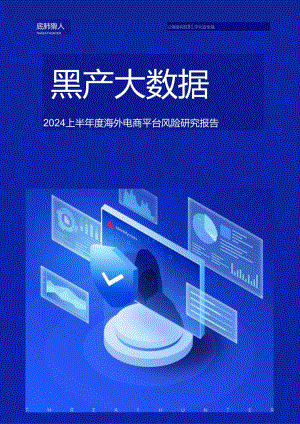 2024上半年度海外电商平台风险研究报告-33正式版.docx