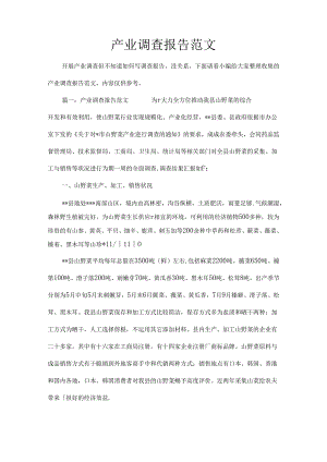 产业调查报告范文.docx
