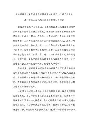 乡镇副镇长(分管农业农村服务中心)学习二十届三中全会进一步全面深化改革的总目标的心得体会.docx