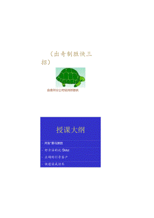保险之新人快速销售技巧..docx