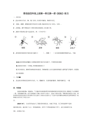 1.1 蚂蚁 同步分层作业 科学四年级上册（青岛版）.docx