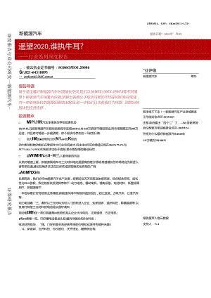 20151103-浙商证券-新能源汽车行业系列深度报告：遥望2020谁执牛耳？.docx