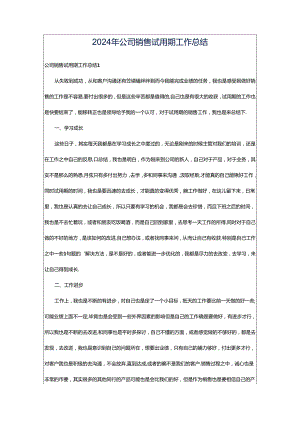 2024年公司销售试用期工作总结.docx