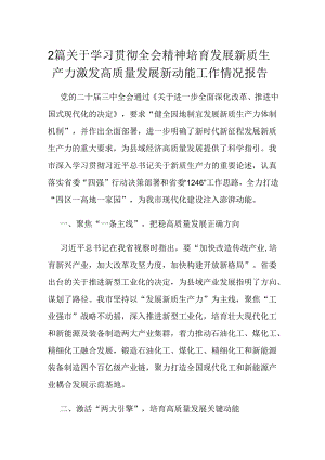 2篇关于学习贯彻全会精神培育发展新质生产力激发高质量发展新动能工作情况报告.docx