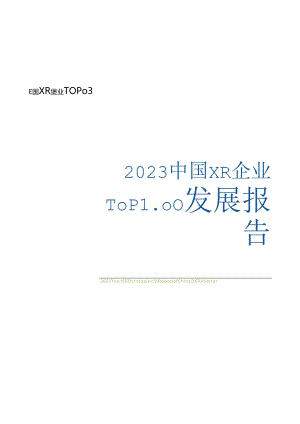 2023中国XR企业TOP100发展报告-106页.docx
