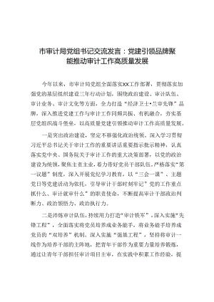交流发言：党建引领 品牌聚能 推动审计工作高质量发展（审计局党组书记）.docx