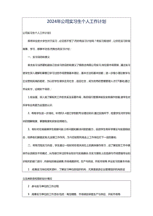 2024年公司实习生个人工作计划.docx