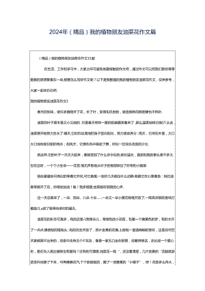 2024年（精品）我的植物朋友油菜花作文篇.docx