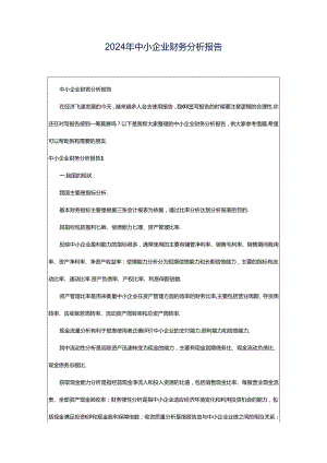 2024年中小企业财务分析报告.docx