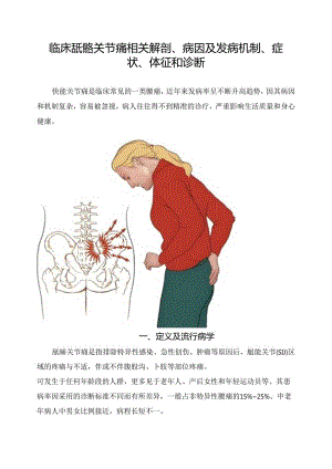 临床骶髂关节痛相关解剖、病因及发病机制、症状、体征和诊断.docx