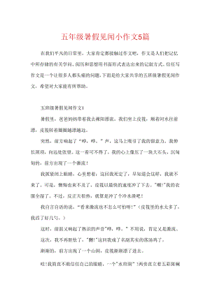 五年级暑假见闻小作文5篇.docx