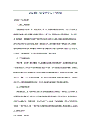 2024年公司文秘个人工作总结.docx