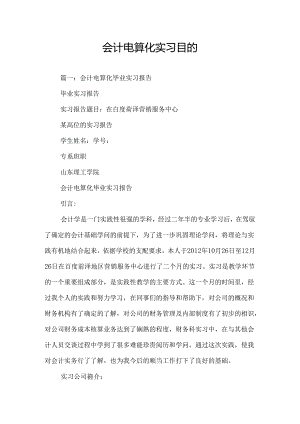 会计电算化实习目的.docx