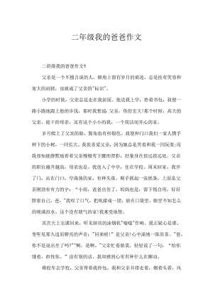 二年级我的爸爸作文.docx