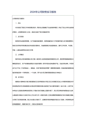 2024年公司财务实习报告.docx