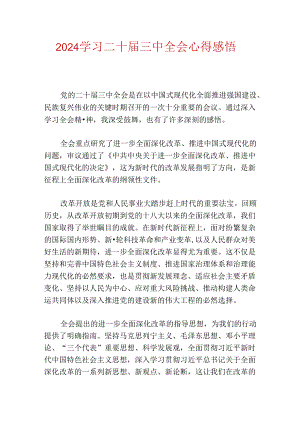 2024学习二十届三中全会心得感悟.docx