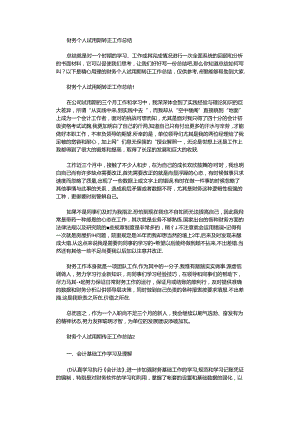 2020年财务个人试用期转正工作总结.docx