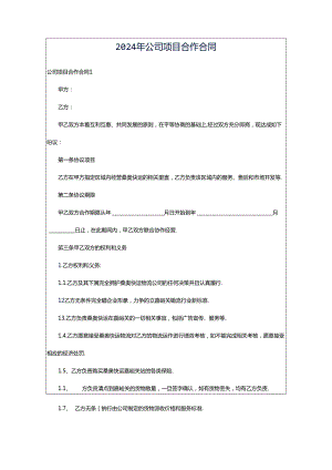 2024年公司项目合作合同.docx