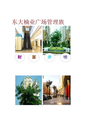 佳兆业深圳布吉东大街商业广场管理方案.docx
