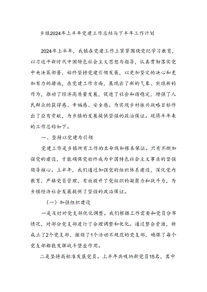 乡镇2024年上半年党建工作总结与下半年工作计划.docx
