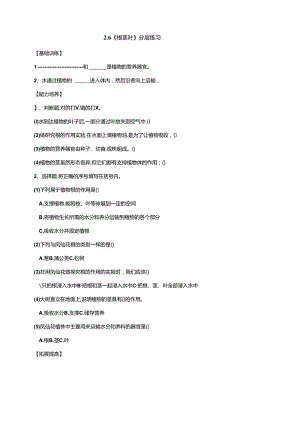 2.6《根茎叶》分层练习（含答案） 人教鄂教版小学科学三年级下册.docx