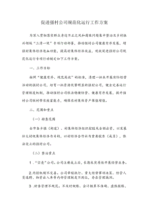 促进强村公司规范化运行工作方案.docx