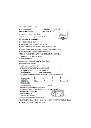 云南昆明一中分校初中学业水平适应性考试（2）（无答案）.docx