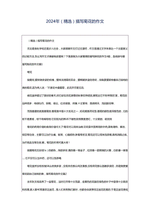 2024年（精选）描写菊花的作文.docx