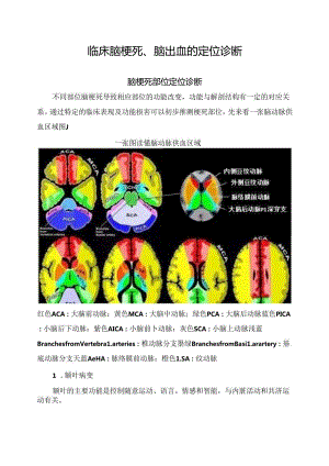 临床脑梗死、脑出血定位诊断.docx