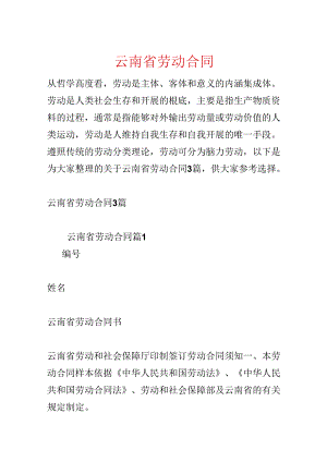 云南省劳动合同.docx