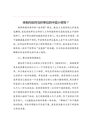 体制内如何当好单位的中层小领导？【壹支笔】&党员干部关于“中国式现代化”的心得体会.docx