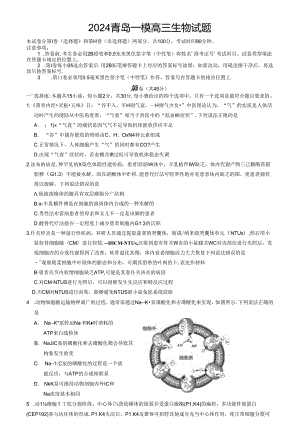2024山东青岛市一模（试卷+答案）.docx