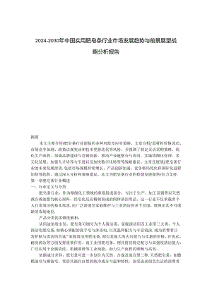 2024-2030年中国实用肥皂条行业市场发展趋势与前景展望战略分析报告.docx