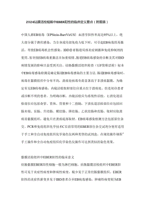 2024黏膜活检组织中EBER阳性的临床意义要点（附图表）.docx