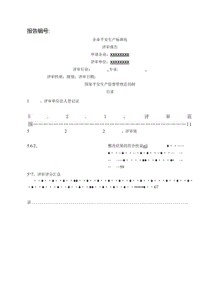 二级安全生产标准化评审报告.docx