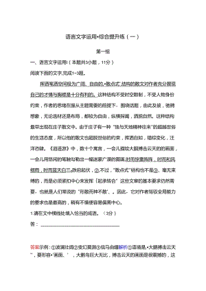 2025语言文字运用·综合提升练1.docx
