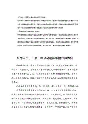 (十五篇)公司单位二十届三中全会精神感悟心得体会.docx