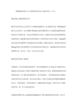 2024输尿管镜手术上镜困难的处理及手术操作要点（全文）.docx