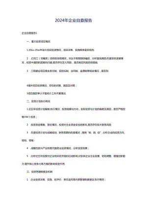 2024年企业自查报告.docx